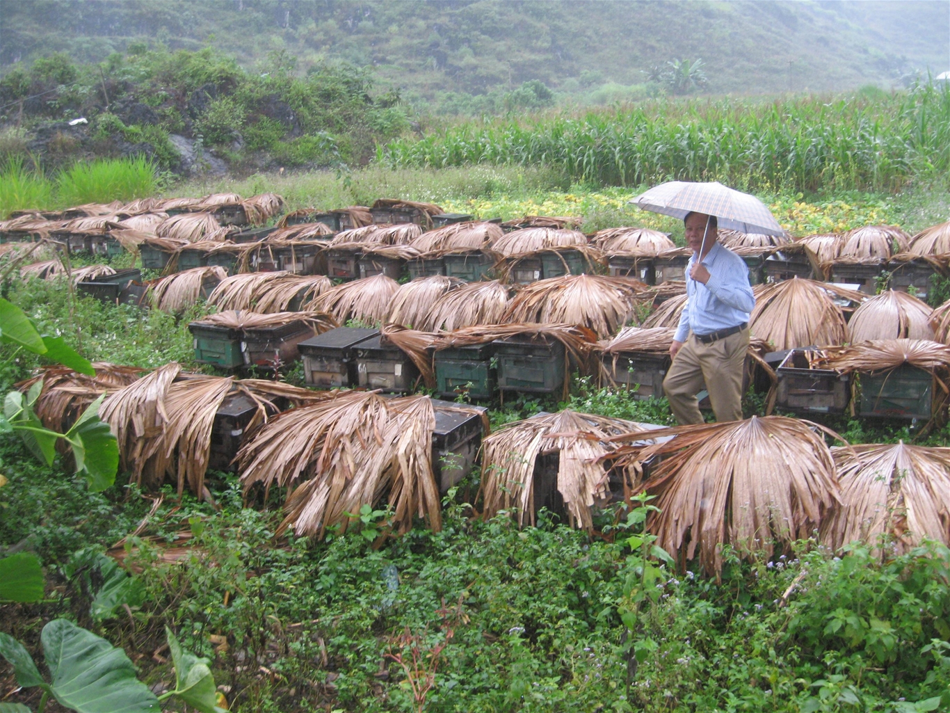 Thành tựu kinh tế xã - hội tỉnh Hà giang giai đoạn 2015 – 2020  4