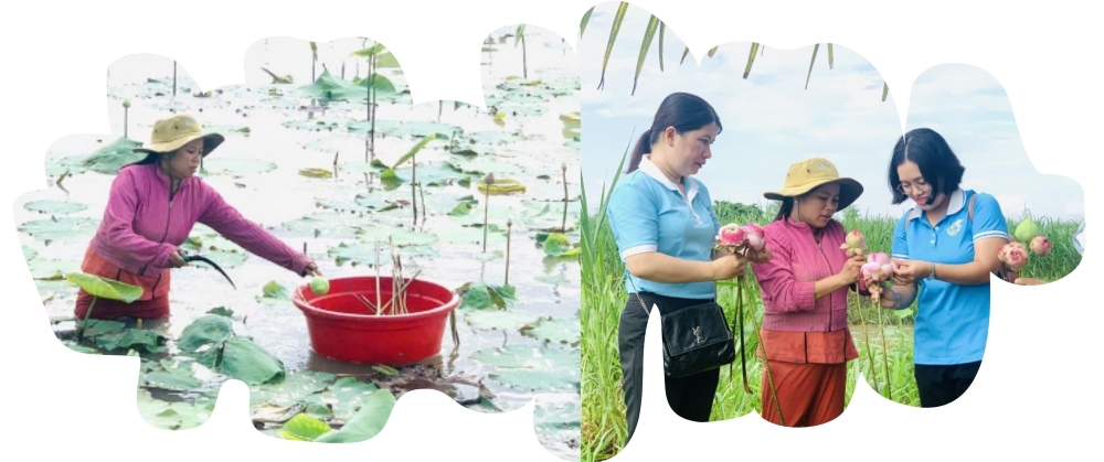 Triển khai hiệu quả các mô hình kinh tế tạo động lực về đích sớm xây dựng nông thôn mới tỉnh Trà Vinh 7