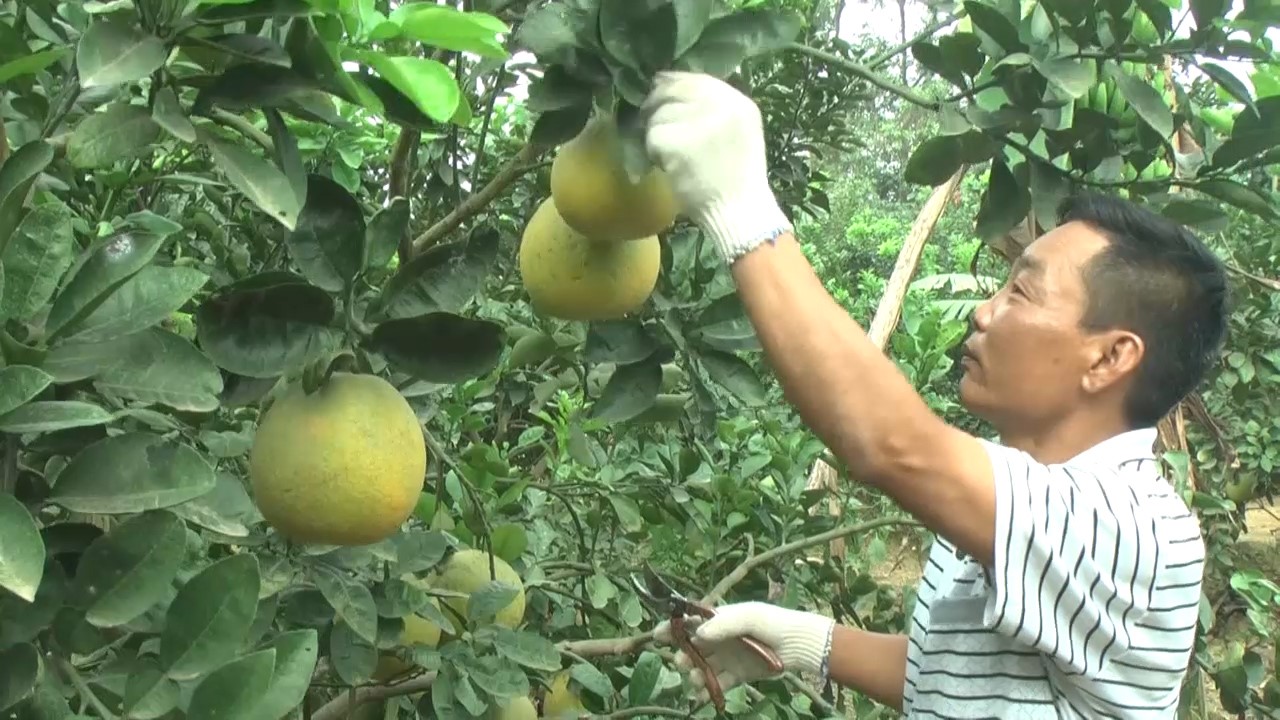Sông Lô: Hướng tới xây dựng xã đạt chuẩn nông thôn mới kiểu mẫu 4