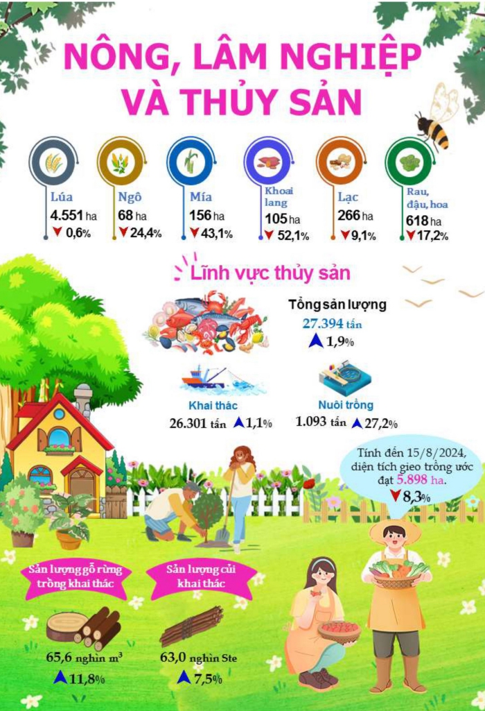Một số chỉ tiêu kinh tế - xã hội thành phố Đà Nẵng 8 tháng năm 2024 1