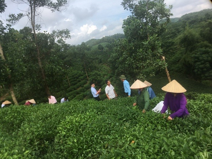 Hiệu quả tích cực trong công tác đào tạo nghề và giải quyết việc làm ở Thái Nguyên 3