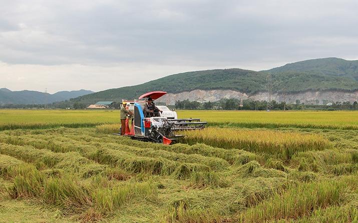 Huyện Can Lộc, tỉnh Hà Tĩnh - Đẩy mạnh mô hình tập trung ruộng đất, phấn đấu đưa sản xuất nông nghiệp đạt mục tiêu, kế hoạch năm 2025 1