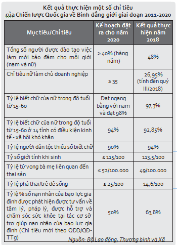 Năm 2018 kết quả thực hiện mục tiêu bình đẳng giới ghi nhận nhiều điểm sáng