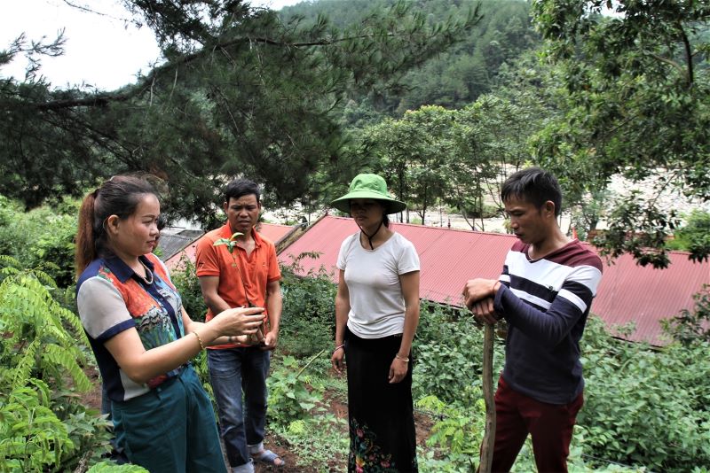 Trung tâm GDNN-GDTX huyện Tân Uyên: Góp phần nâng cao chất lượng nguồn nhân lực  1