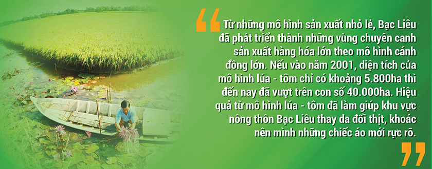 Nông nghiệp sinh thái - Dấu ấn trong xây dựng Nông thôn mới 4