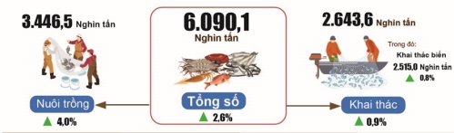 Nhiều điểm sáng trong phát triển kinh tế - xã hội  tháng Tám và 8 tháng năm 2024