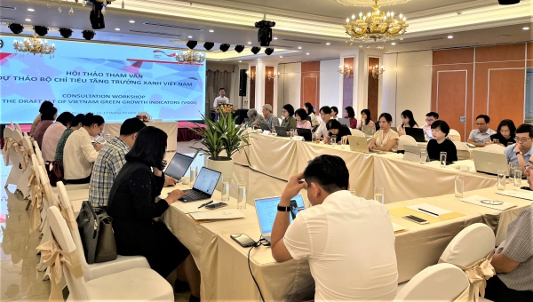 Hội thảo tham vấn Dự thảo Bộ chỉ tiêu tăng trưởng xanh Việt Nam 1