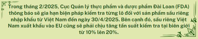 Sầu riêng - ngôi sao nông sản trên con đường xuất khẩu tỷ đô 3