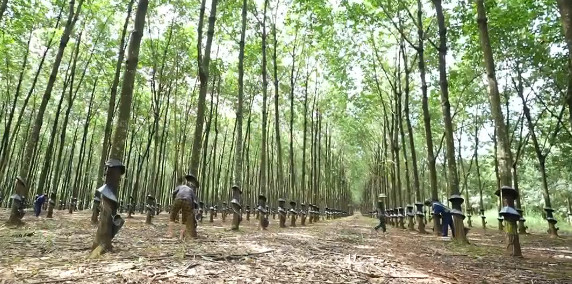 Gần 18,2 nghìn tỷ đồng để thực hiện dự án giải quyết tình trạng thiếu đất ở, nhà ở, đất sản xuất, nước sinh hoạt cho đồng bào dân tộc thiểu số và miền núi 1