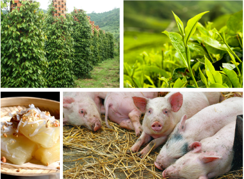 Sản xuất nông, lâm nghiệp và thủy sản cả nước tháng 4 năm 2019