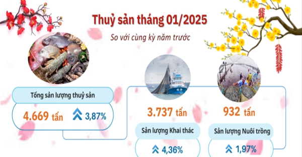 Hà Tĩnh kinh tế - xã hội tháng 01 năm 2025 tiếp tục ổn định 1