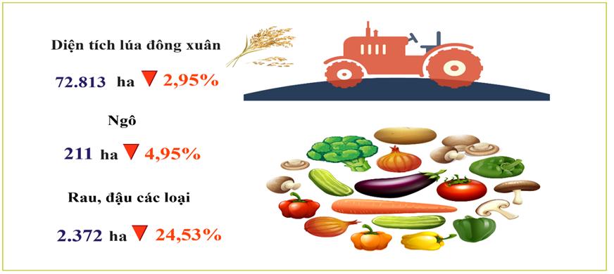 Bán lẻ hàng hóa, doanh thu dịch vụ và giá cả tại thành phố Cần Thơ tháng 01/2024 1