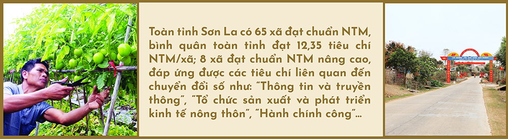Sơn La chuyển đổi số hướng tới xây dựng nông thôn mới thông minh  11