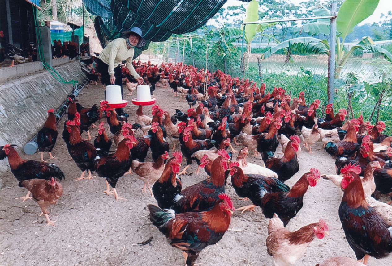 Xã Chu Hóa: Kinh tế - xã hội địa phương trên đà phát triển ổn định và bền vững 5