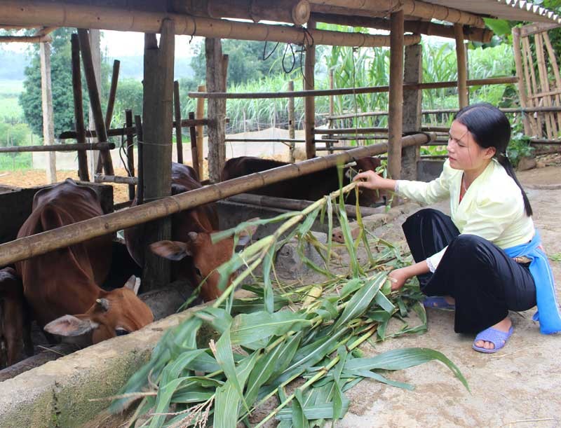 Huyện Tân Lạc: Huy động mọi nguồn lực để phát triển nhanh, bền vững 4