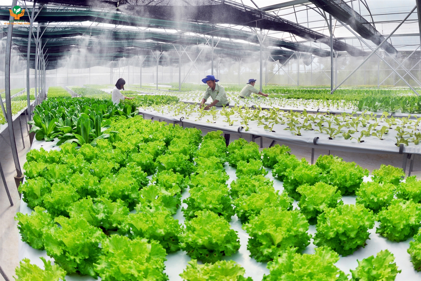 Nông nghiệp thông minh - Đòn bẩy chiến lược phát triển kinh tế việt nam 1