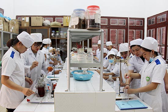 Sơn La nâng cao chất lượng nguồn nhân lực phục vụ cho phát triển kinh tế xã hội 2