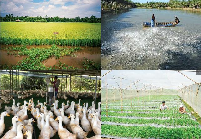 Vĩnh Long cùng cả nước chuẩn bị Tổng điều tra nông nghiệp, nông thôn năm 2025 1