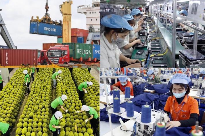 Xuất khẩu hàng hóa năm 2024 đạt 405,53 tỷ USD, Việt Nam xuất siêu năm thứ 9 liên tiếp 6