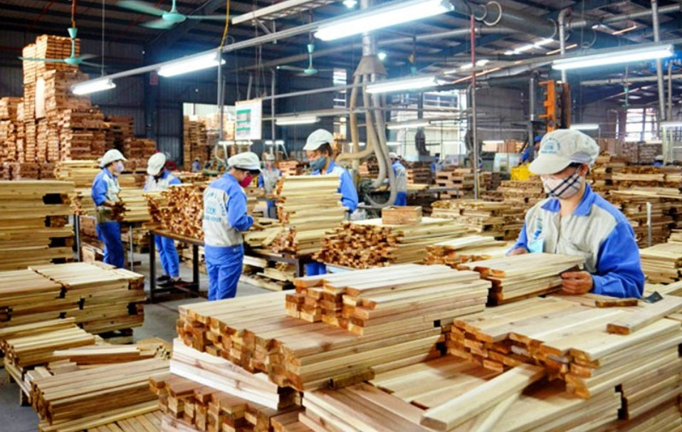 Tiếp tục thực hiện hiệu qủa Chiến lược phát triển lâm nghiệp trong bối cảnh mới 1