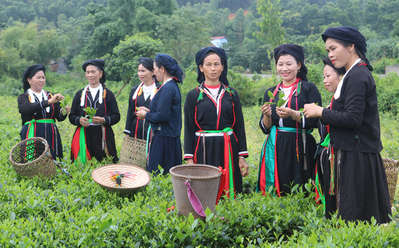 Khởi sắc vùng đồng bào dân tộc thiểu số và miền núi tỉnh Thái Nguyên 1