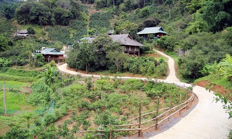 Sơn La: Những kết quả tích cực trong xây dựng nông thôn mới  1
