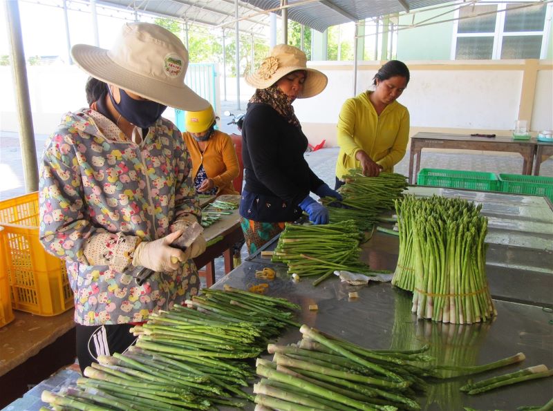 Những “trái ngọt” sau 20 năm thực hiện Nghị Quyết 13-NQ/TW 1