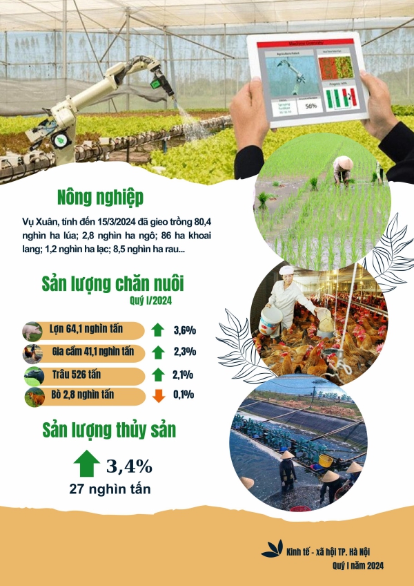 Tình hình kinh tế - xã hội thành phố Hà Nội quý I/2024 2